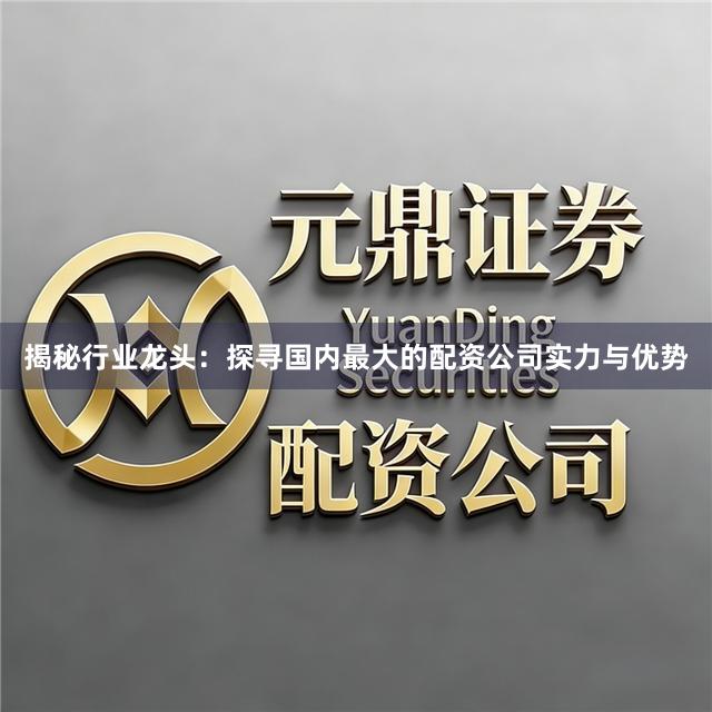 揭秘行业龙头:探寻国内最大的配资公司实力与优势