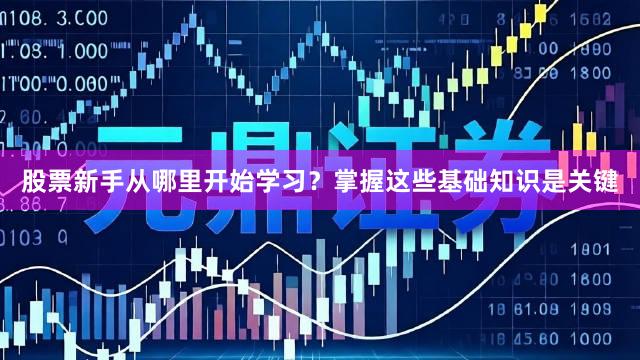 股票新手从哪里开始学习？掌握这些基础知识是关键