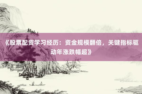 《股票配资学习经历：资金规模翻倍，关键指标驱动年涨跌幅超》