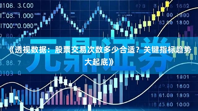 《透视数据：股票交易次数多少合适？关键指标趋势大起底》