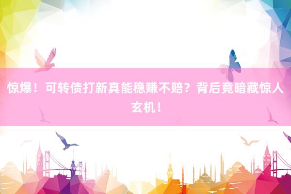 惊爆！可转债打新真能稳赚不赔？背后竟暗藏惊人玄机！