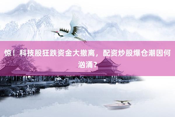 惊！科技股狂跌资金大撤离，配资炒股爆仓潮因何汹涌？