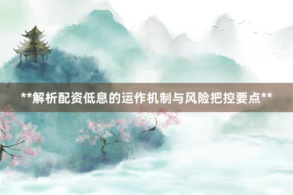 **解析配资低息的运作机制与风险把控要点**