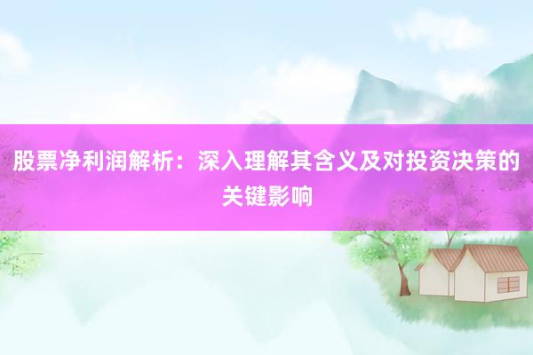 股票净利润解析：深入理解其含义及对投资决策的关键影响