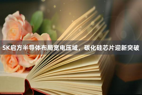 SK启方半导体布局宽电压域，碳化硅芯片迎新突破