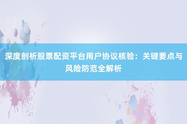 深度剖析股票配资平台用户协议核验：关键要点与风险防范全解析