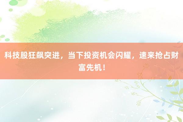科技股狂飙突进，当下投资机会闪耀，速来抢占财富先机！