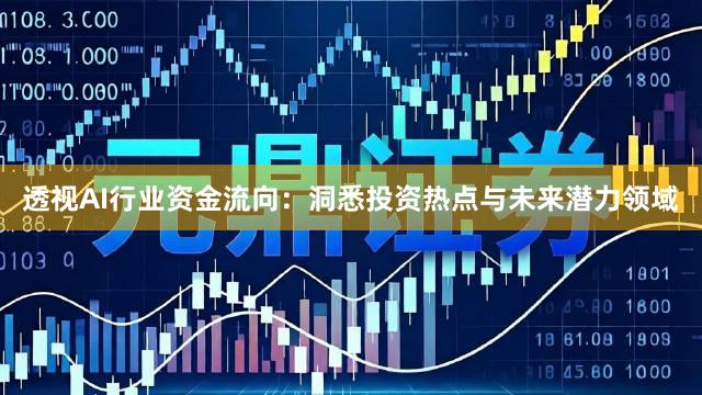透视AI行业资金流向：洞悉投资热点与未来潜力领域