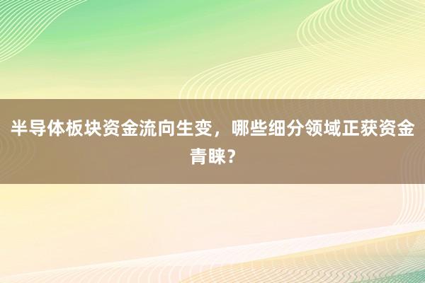 半导体板块资金流向生变，哪些细分领域正获资金青睐？