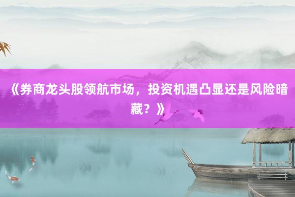 《券商龙头股领航市场，投资机遇凸显还是风险暗藏？》
