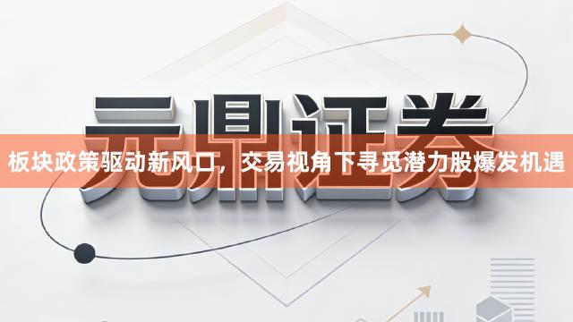 板块政策驱动新风口，交易视角下寻觅潜力股爆发机遇